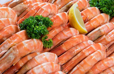 Novotel Surfers Paradise - Northern Rivers Accommodation 0