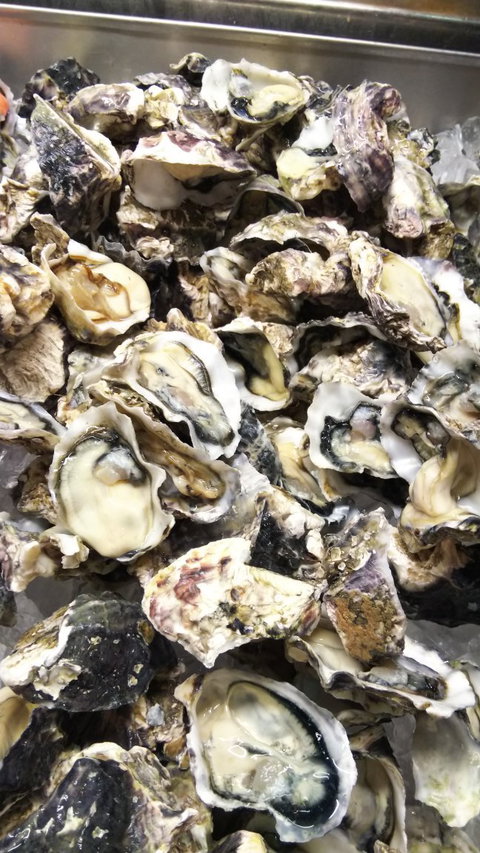 Novotel Surfers Paradise - Northern Rivers Accommodation 2