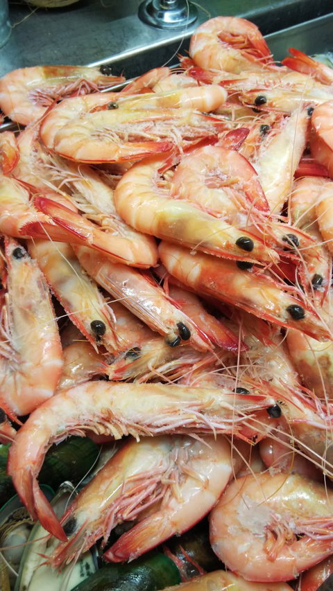 Novotel Surfers Paradise - Northern Rivers Accommodation 3