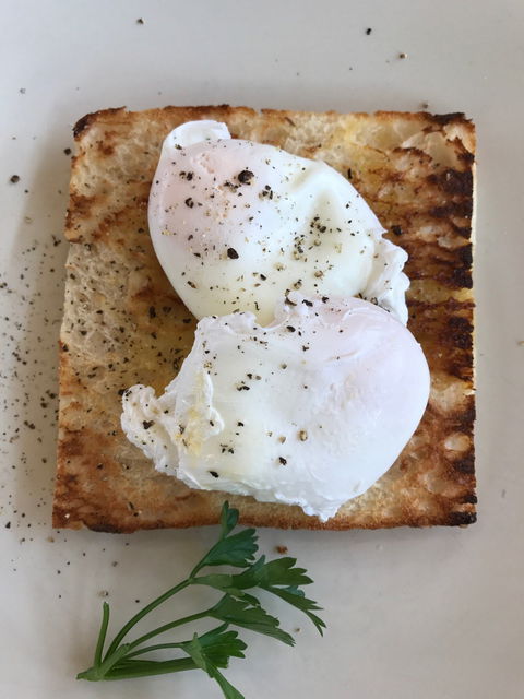 Spendelove Bistro & Bar - Northern Rivers Accommodation 5