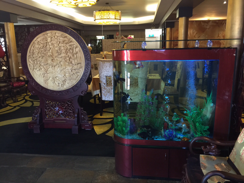 Dragon Palace - Northern Rivers Accommodation 4