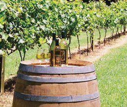 Cedar Creek Estate Vineyard & Winery Restaurant - Northern Rivers Accommodation 13