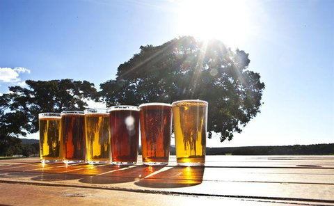 Eagle Bay Brewing Co - Northern Rivers Accommodation 13