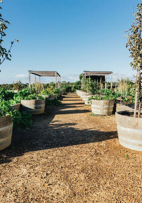 Eagle Bay Brewing Co - Northern Rivers Accommodation 15