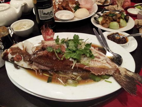 Shark Fin Inn - Northern Rivers Accommodation 0