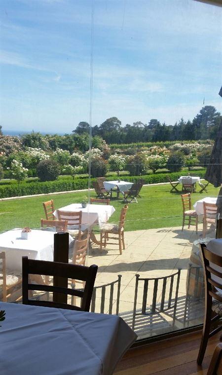 Sokyo - Northern Rivers Accommodation 13