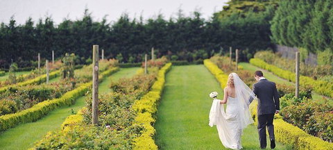 Sokyo - Northern Rivers Accommodation 1