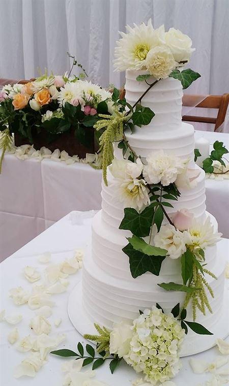 Sokyo - Northern Rivers Accommodation 4