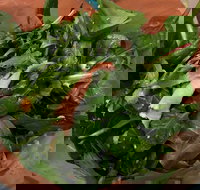 Soph Slice Gourmet Pizza Bar - Northern Rivers Accommodation