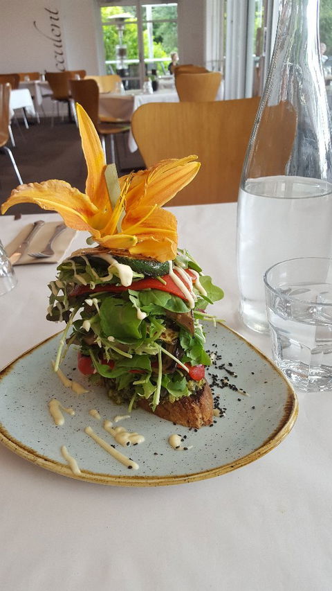 Succulent - Northern Rivers Accommodation 3