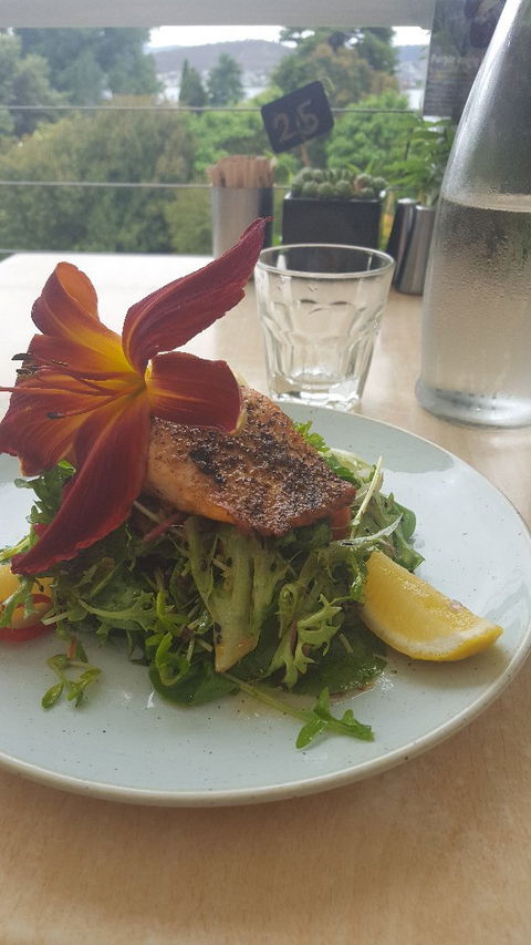 Succulent - Northern Rivers Accommodation 4