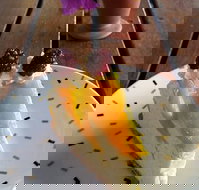 Treesa Green - Northern Rivers Accommodation