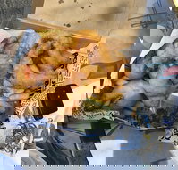 Chef's Catch - Northern Rivers Accommodation