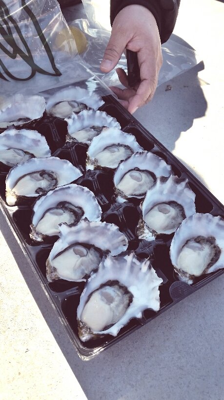 Lease 65 - Northern Rivers Accommodation 1