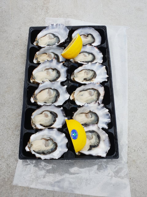 Lease 65 - Northern Rivers Accommodation 2