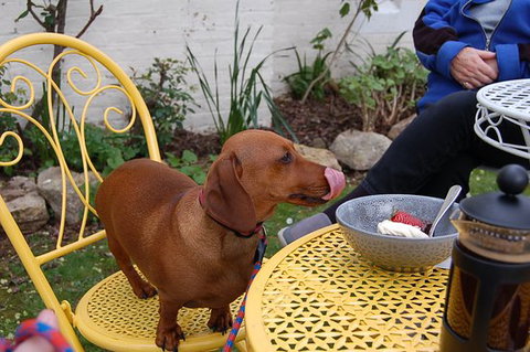 The Quilted Teapot - Northern Rivers Accommodation 0