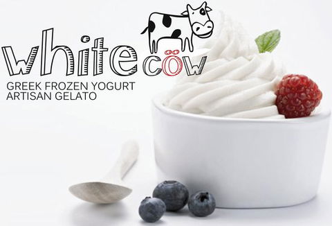 White Cow - Greek Frozen Yogurt, Artisan Gelato - Northern Rivers Accommodation 0