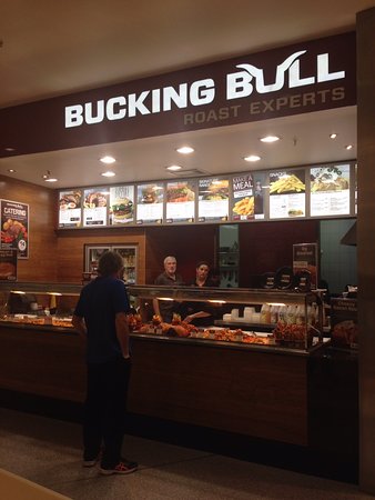 Bucking Bull - Northern Rivers Accommodation 0