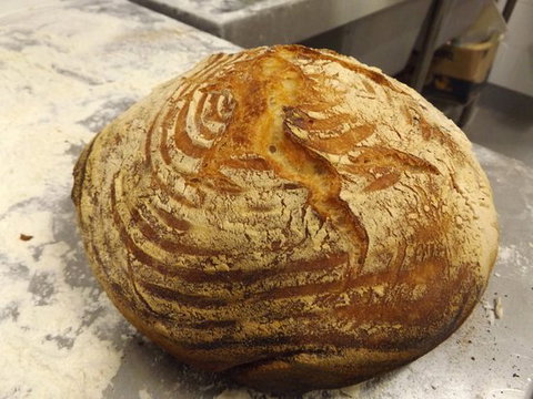 The Early Bird Bakery - Northern Rivers Accommodation 0