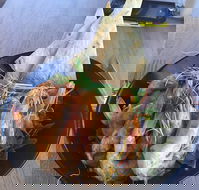 The Strand Byford Lakeside Restaurant  Cafe - Northern Rivers Accommodation