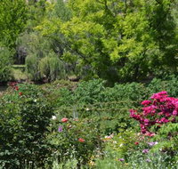 Berry Delightful - Northern Rivers Accommodation