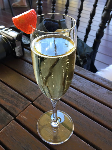 Hay Shed Hill Wines - Northern Rivers Accommodation 3