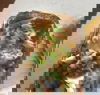 Putt Putts Pasta - Northern Rivers Accommodation