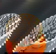 The Daily Grind Cafe - Northern Rivers Accommodation