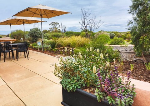 Arid Lands Botanic Garden Cafe - Northern Rivers Accommodation 0