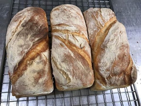 Clare Rise Bakery 1895 - Northern Rivers Accommodation 0