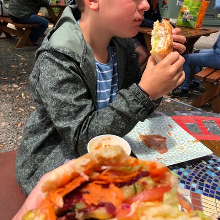 Seal Bay SA Northern Rivers Accommodation