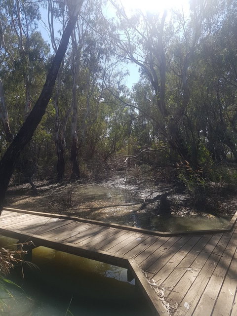 Banrock Station Wine & Wetlands Centre - Northern Rivers Accommodation 3