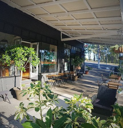 Bardon Thyme - Northern Rivers Accommodation 0