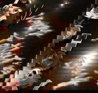 Murasaki Teppanyaki Broadbeach - Northern Rivers Accommodation