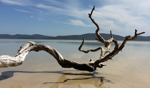 Over There Cafe - Northern Rivers Accommodation 0