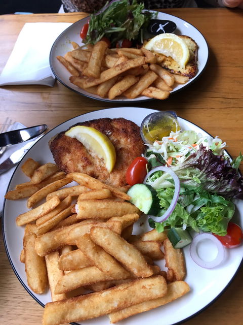 Schnitz - Northern Rivers Accommodation 4