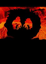 The Lounging Emu - Northern Rivers Accommodation 1