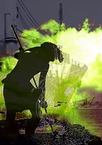 The Lounging Emu - Northern Rivers Accommodation 6