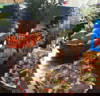 Island fruit Barn - Northern Rivers Accommodation