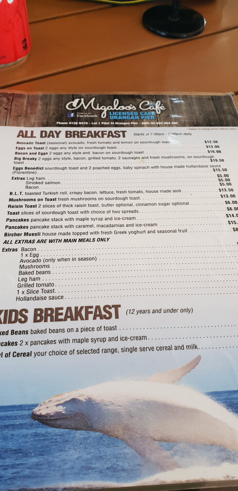 Migaloo's Cafe - Northern Rivers Accommodation 3