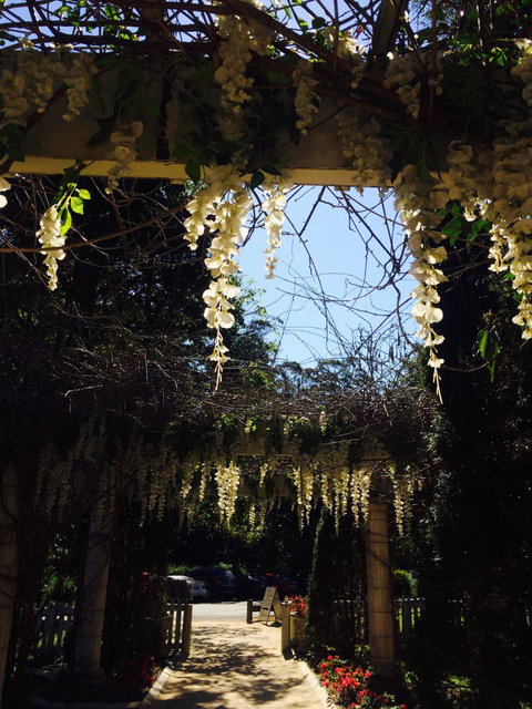 Petite & Sweet Tearoom Coffee Shoppe & Patisserie - Northern Rivers Accommodation 1