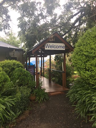 Spring Creek Mountain Cafe & Cottages - Northern Rivers Accommodation 0