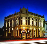 Miss Jackson - Northern Rivers Accommodation