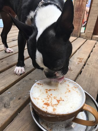 Doghouse - Northern Rivers Accommodation 0