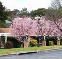 White Lanterns Motel - Northern Rivers Accommodation