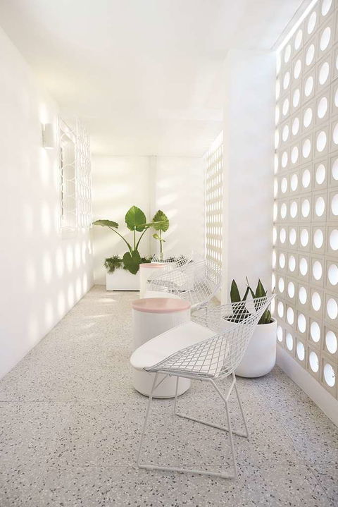Adina Apartment Hotel Chippendale - Northern Rivers Accommodation 3