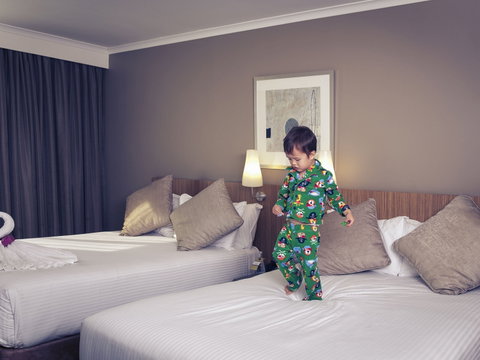 Mercure Hotel Parramatta - Northern Rivers Accommodation 16
