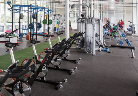 Elite Gold Coast - Northern Rivers Accommodation 16