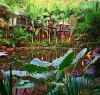 Daintree Eco Lodge  Spa - Northern Rivers Accommodation