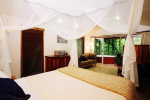 Daintree Eco Lodge & Spa - Northern Rivers Accommodation 1